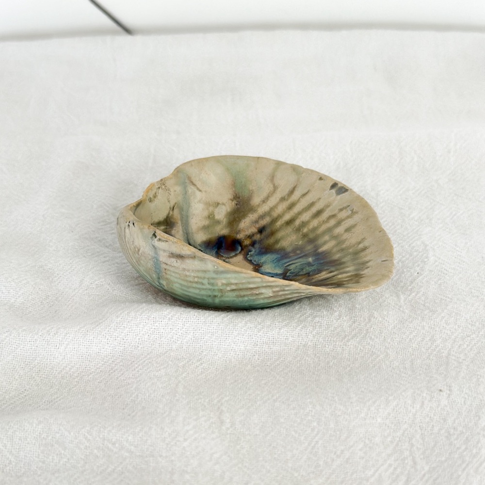 Small shell ceramic dish